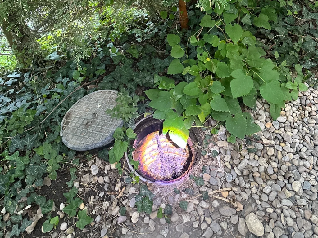 csatorna gyökérbenövés